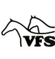VFS
